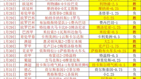 斯维拉尔：面对毕包败北挑战重重，我们积极应对彰显坚韧